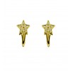 Pendientes de oro blanco (18K) con zirconita
