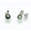 Pendientes de plata con piedras