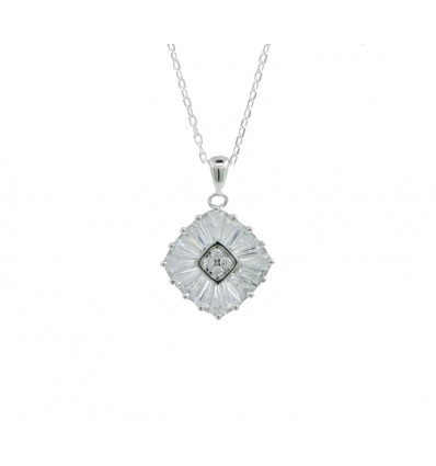 Colgante de plata con cadena