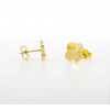 Pendientes de oro amarillo (18K)